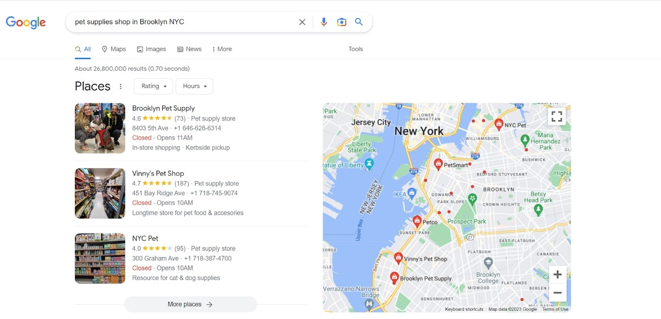 A Screenshot showing Local Pack results when you search for a pet supplies shop in Brooklyn, NYC.