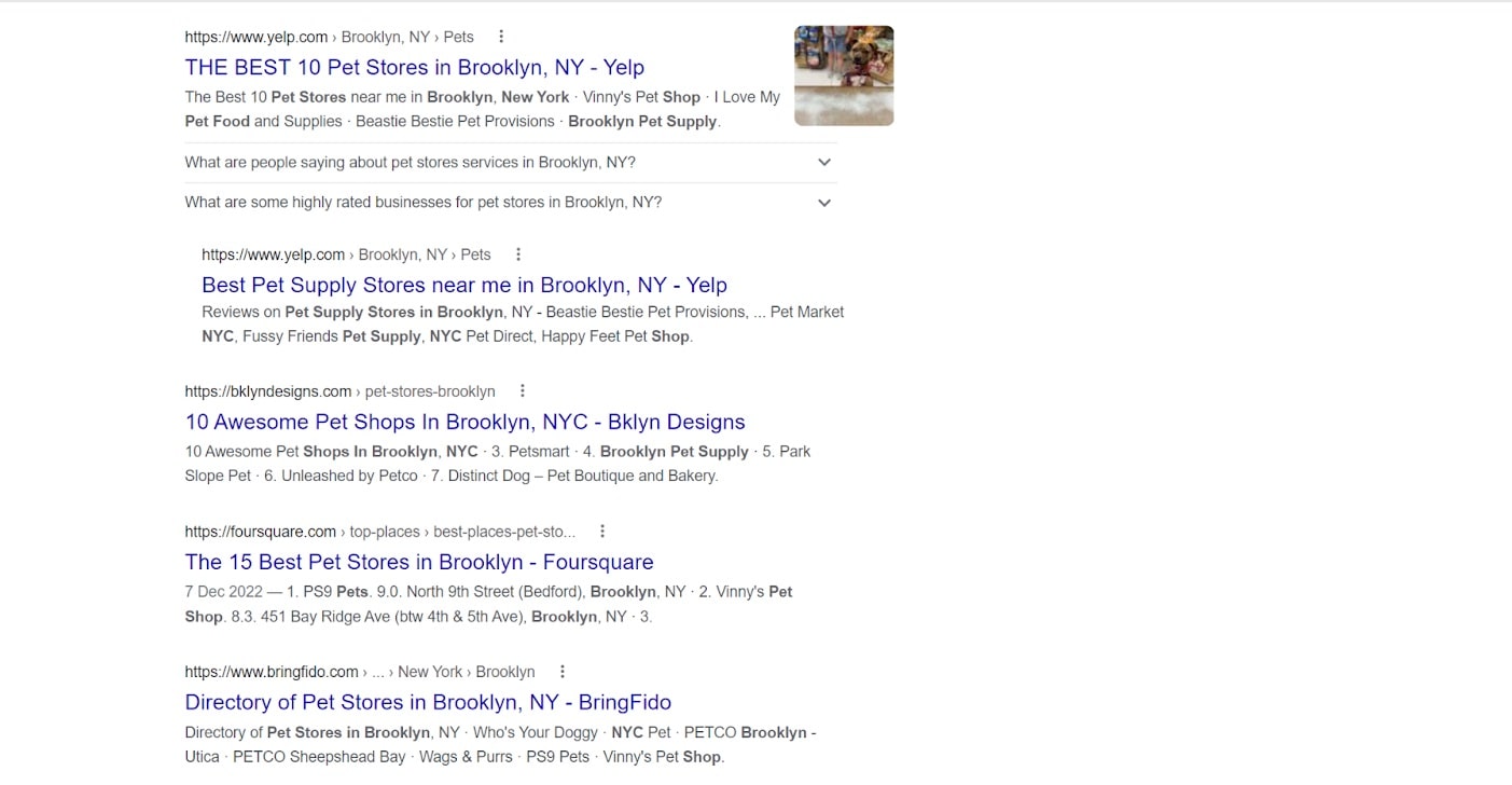 Screenshot showing local organic results when you search for a pet supplies shop in Brooklyn, NYC.