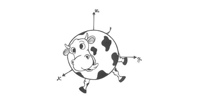 Spherical cow