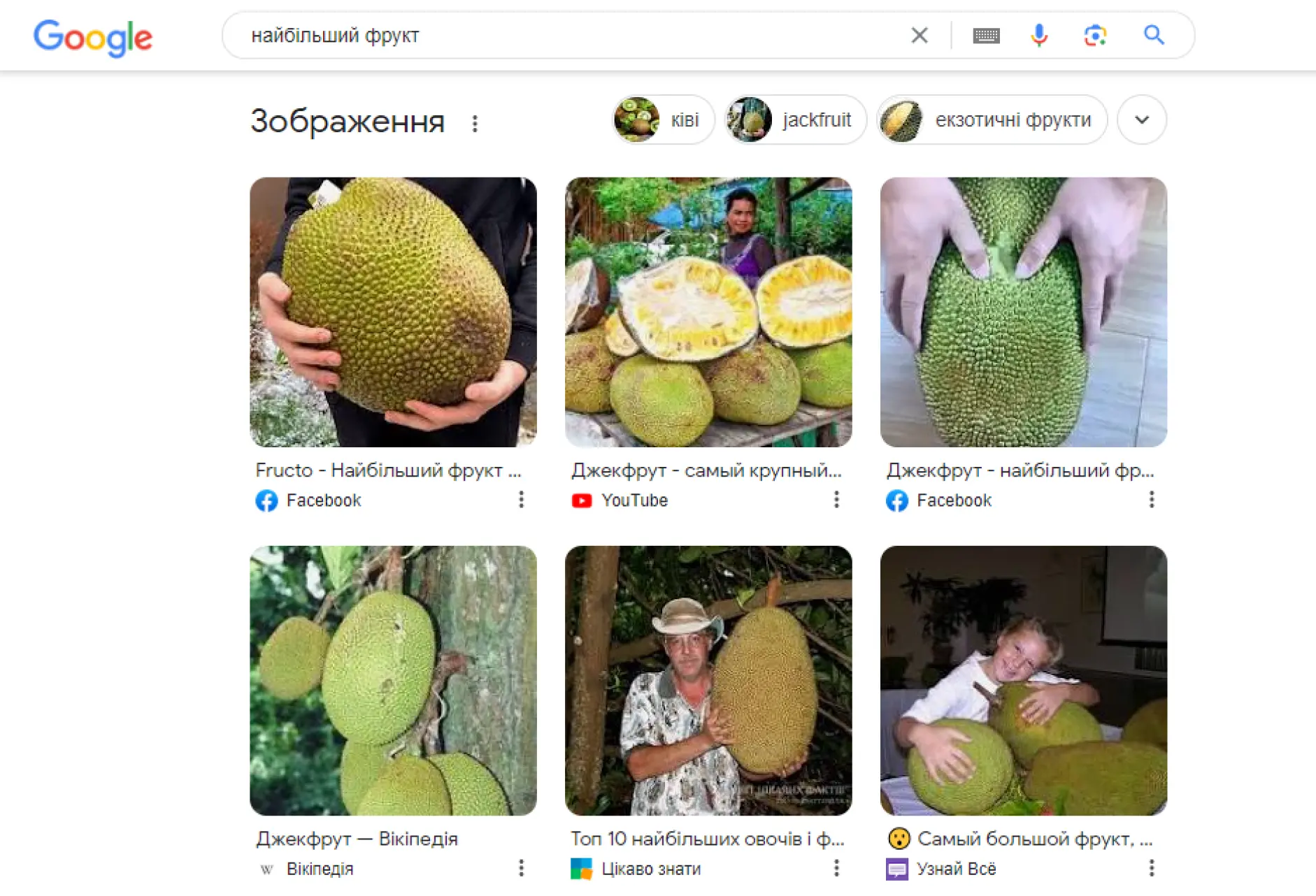 Зображення на запит (Images)