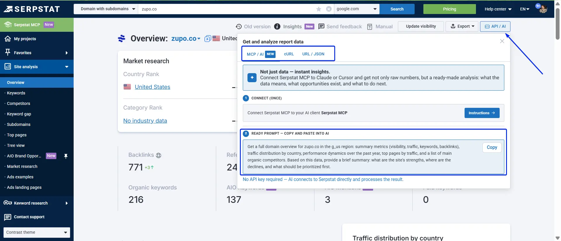 API Request Examples and MCP Prompts Embedded in Reports
