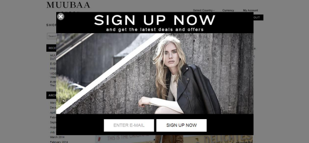 10 Essential Popup Campaigns For eCommerce 16261788153491