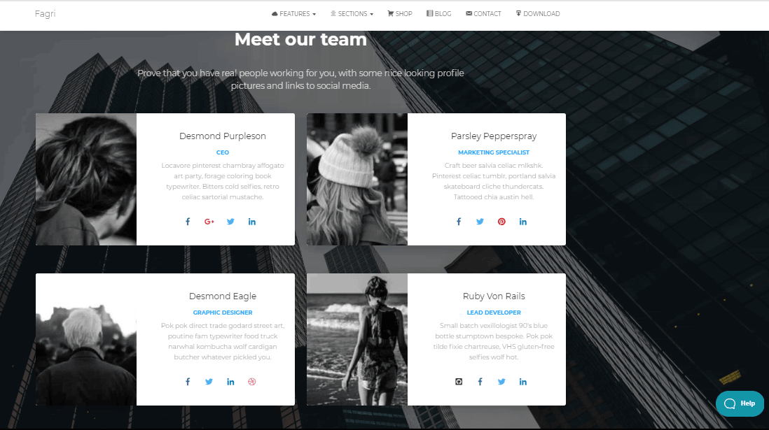 Template for Small Business Fagri for WordPress - 4