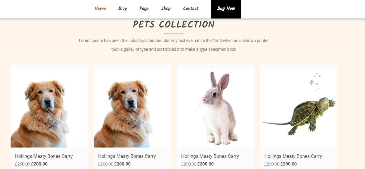 Veterinary Pet Care Template for WordPress - 2