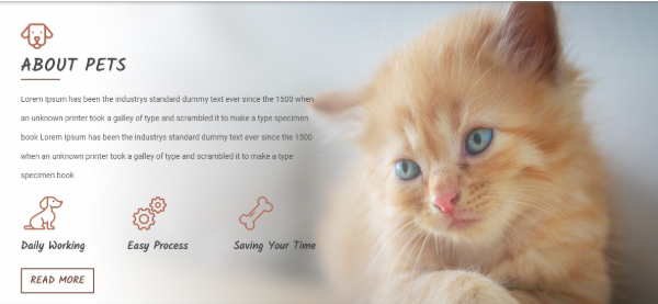 Veterinary Pet Care Template for WordPress - 3