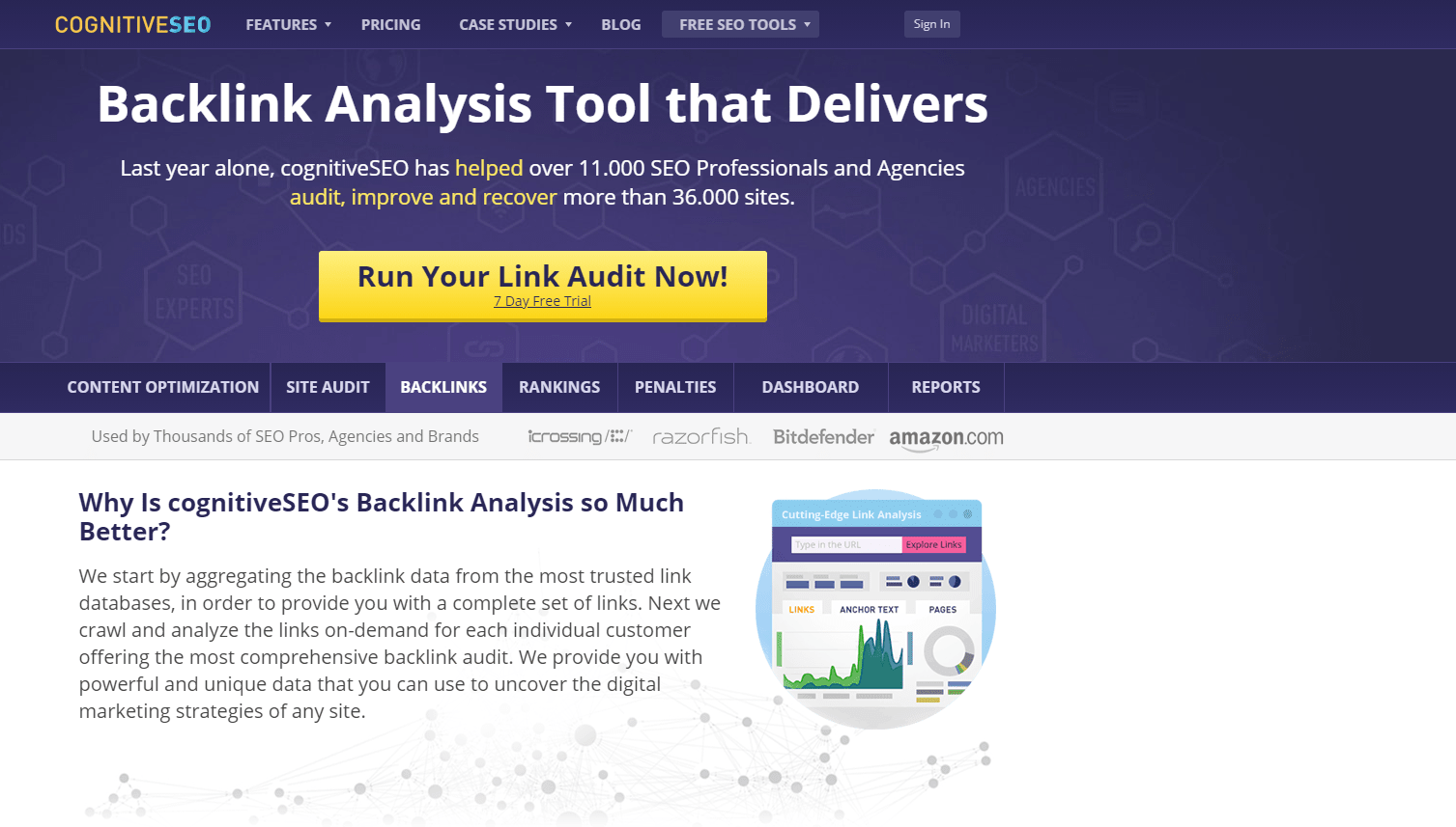 CognitiveSEO