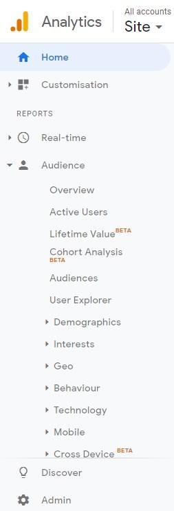 Audience section in Google Analytics