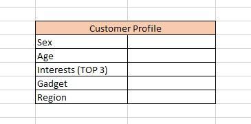 Customer profile table