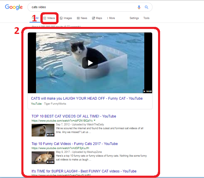 Videos in search results page