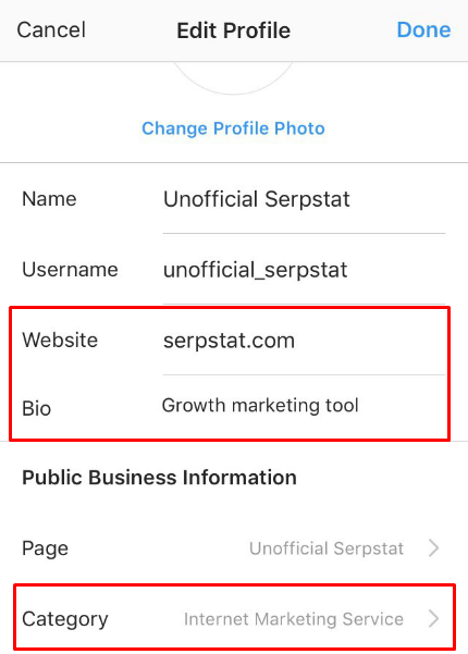 Business page description in Instagram