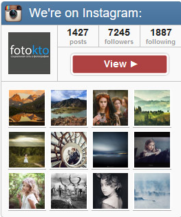 Example of Instagram widget on the website