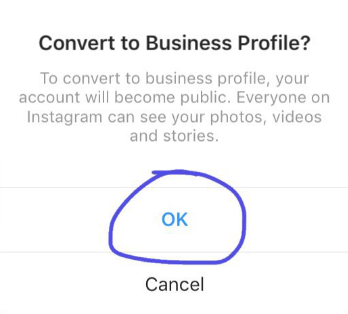 Convert to business profile Instagram