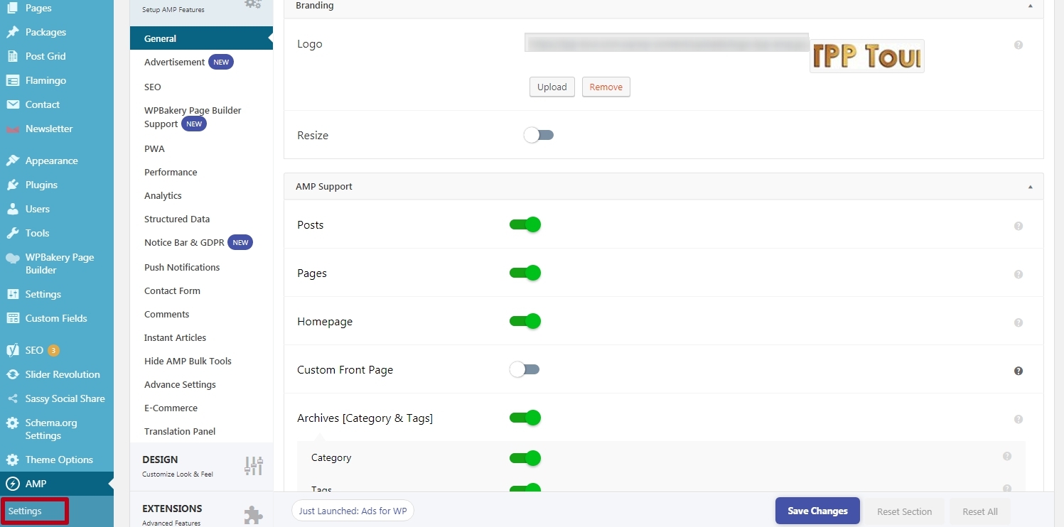 Create AMP in WordPress Plugin