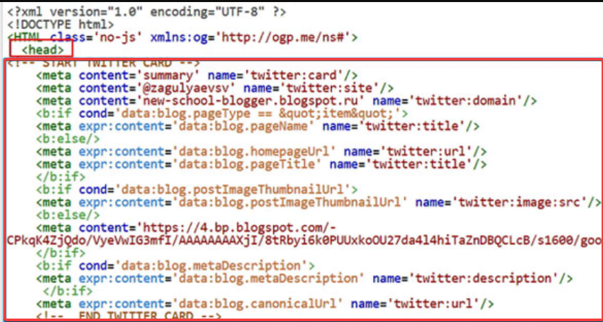 Twitter Card markup in the page code