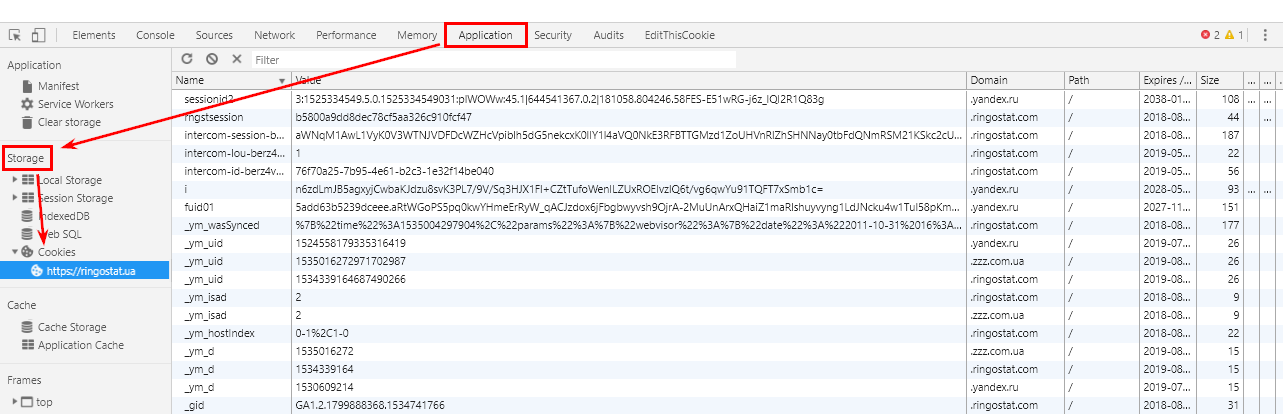 Verification of the script in Google Chrome cookies