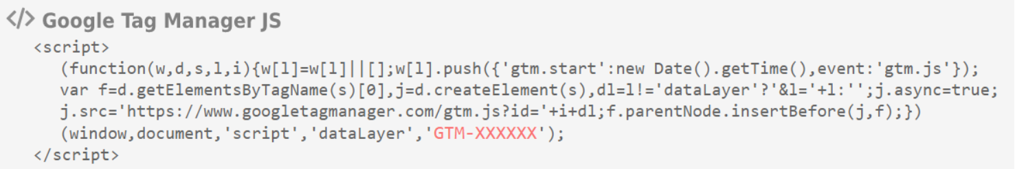 Google Tag Manager script