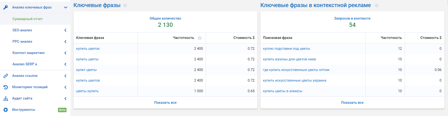 Анализ ключевых фраз в SEO и PPC