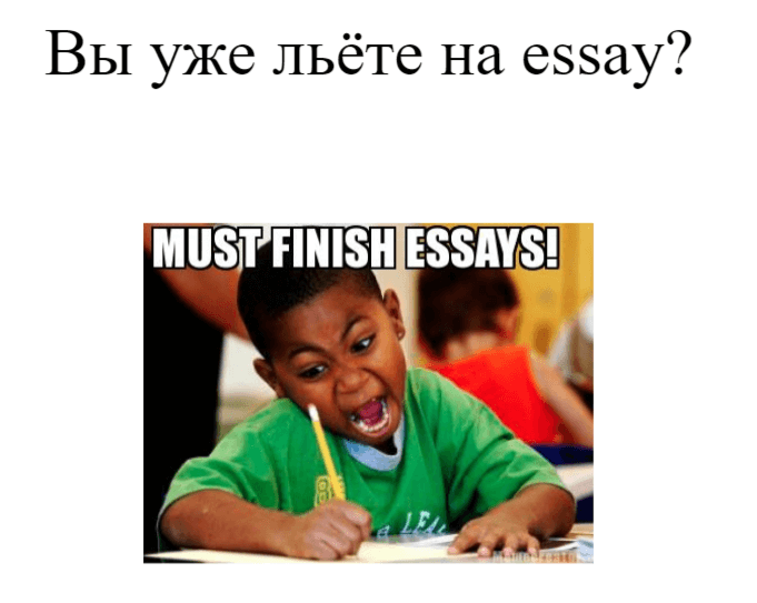 Смешное изображение на тему SEO в essay