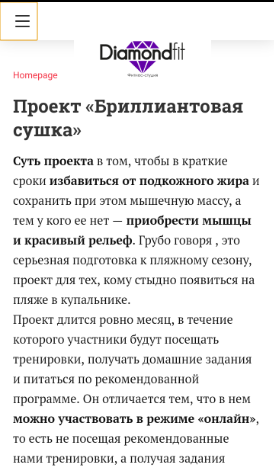 Пример AMP-страницы для WordPress