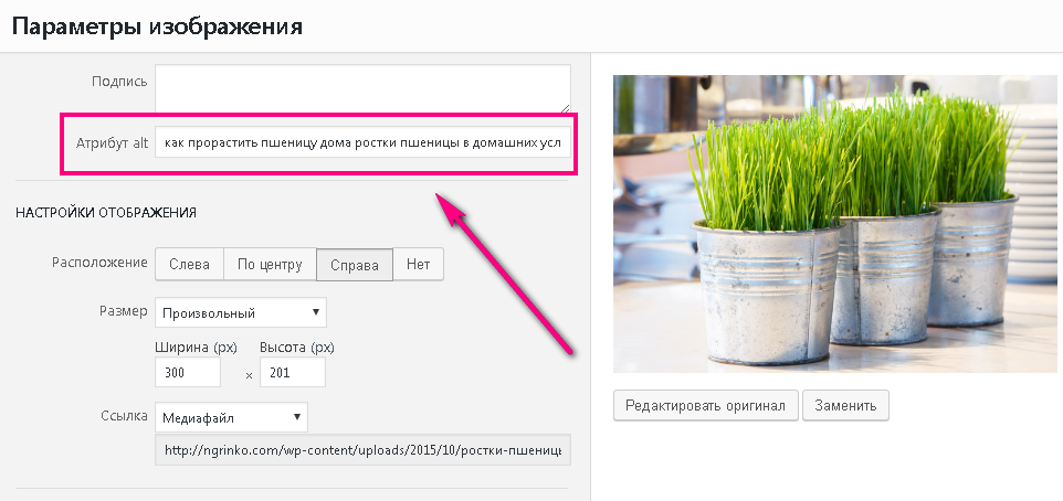 Прописанный атрибут Alt, как нужно прописывать альт изображений