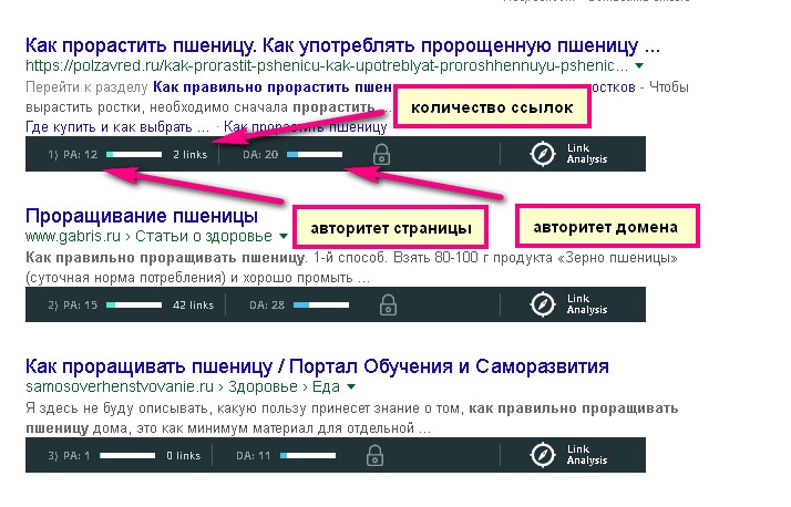 Как поднять трафик блога на 95%, потратив 15 минут в день — стратегия для ленивых 13 Анализ авторитетности страницы в плагине