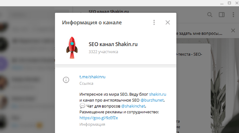 Скриншот телеграмм-канала SEO канал Shakin.ru
