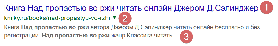 Пример сниппета в Google