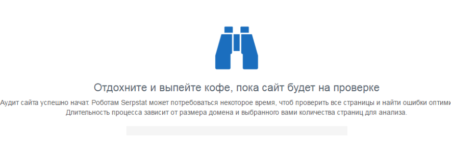 Ожидаем, пока сервис закончит проведение аудита
