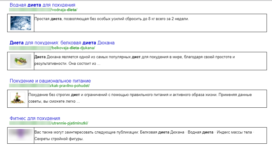 Внутренний поиск Google для CMS WordPress