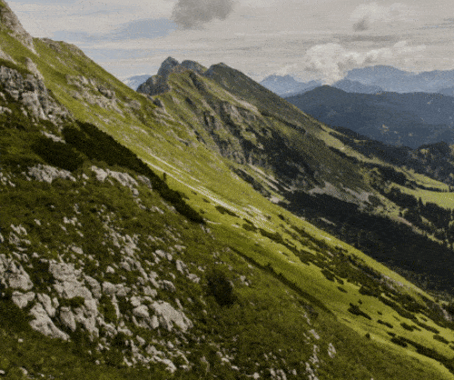 Сдержанная анимация, которая создана в Canva