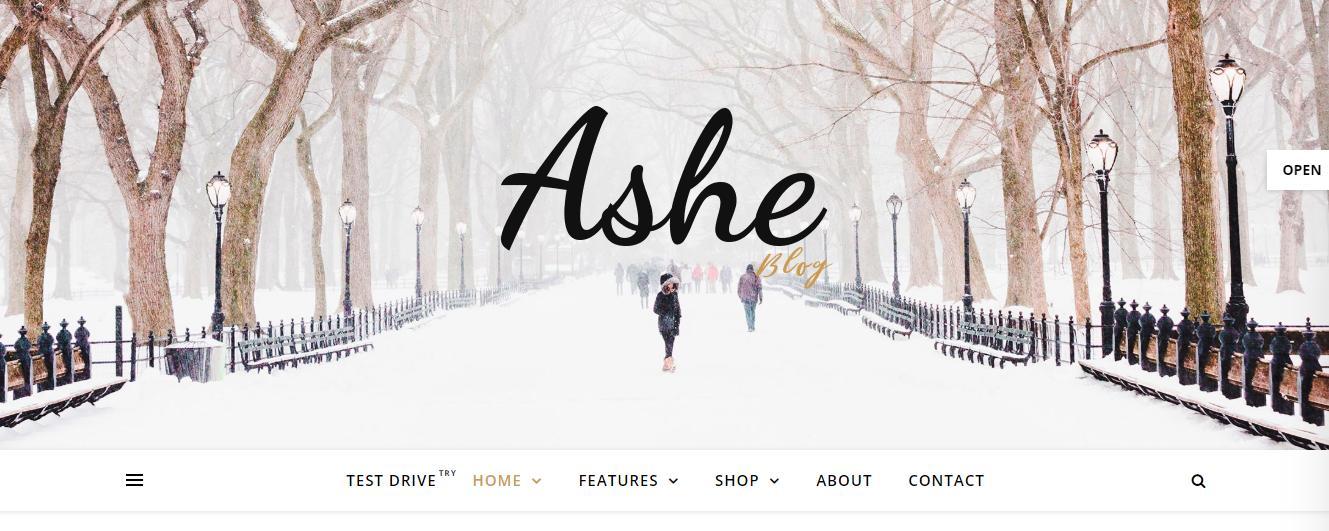 Бесплатный шаблон женского блога Ashe для WordPress - 1