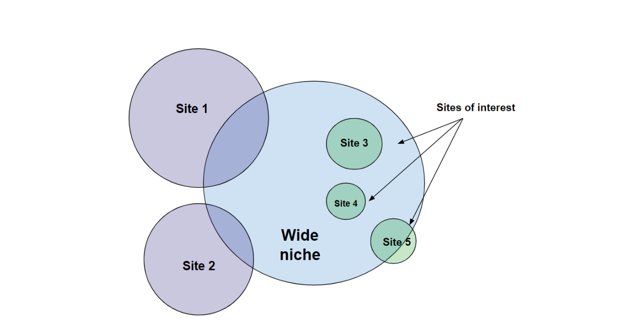 Mass Top Analysis Tricks: How To Find Drops And Niches 16261788387490 Mass Top Analysis Tricks: How To Find Drops And Niches 16261788387490