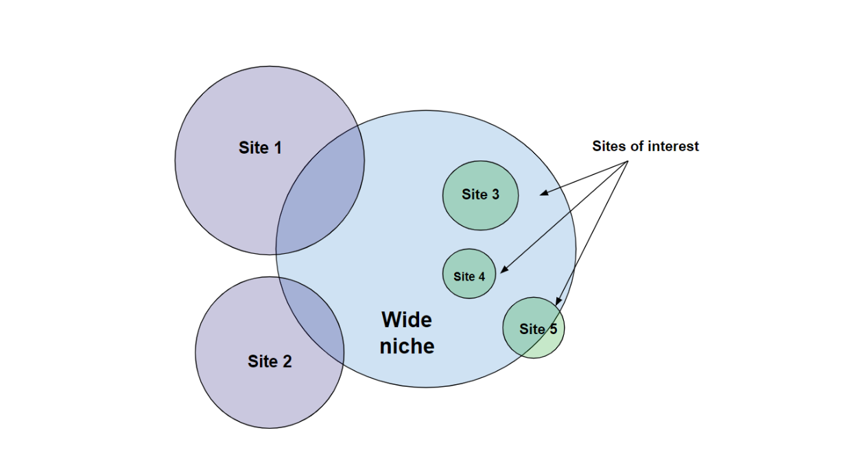 Mass Top Analysis Tricks: How To Find Drops And Niches 16261788387490