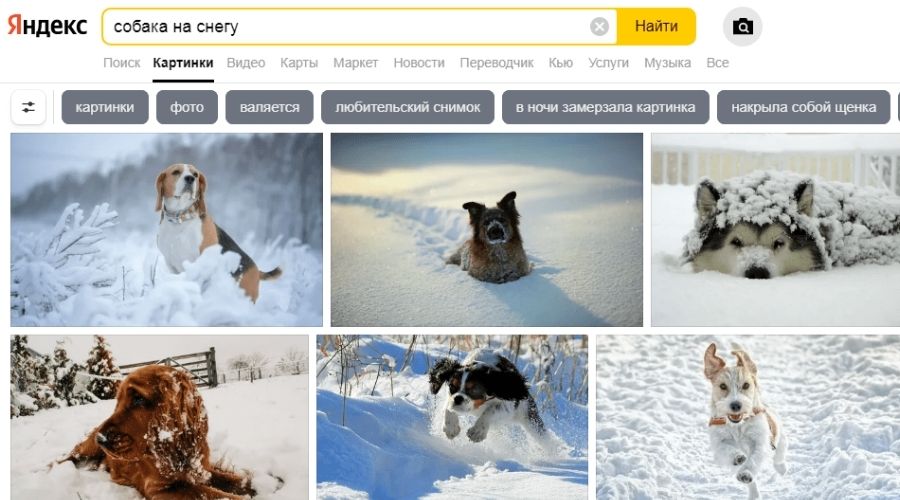как попасть в Яндекс картинки