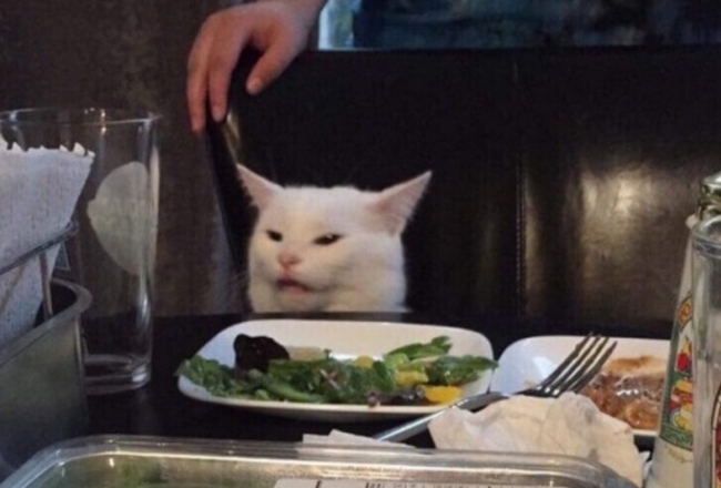 мем кот с салатом 