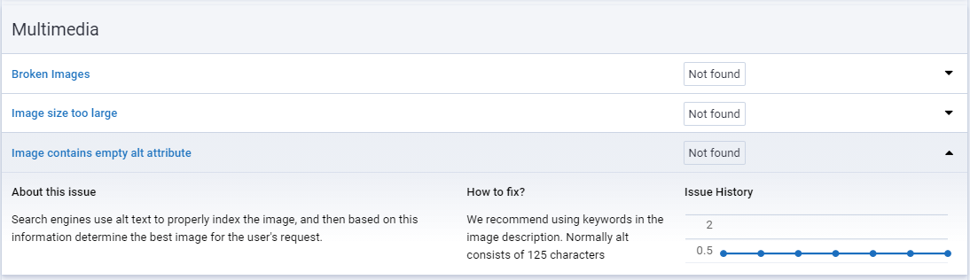 seo web site audit