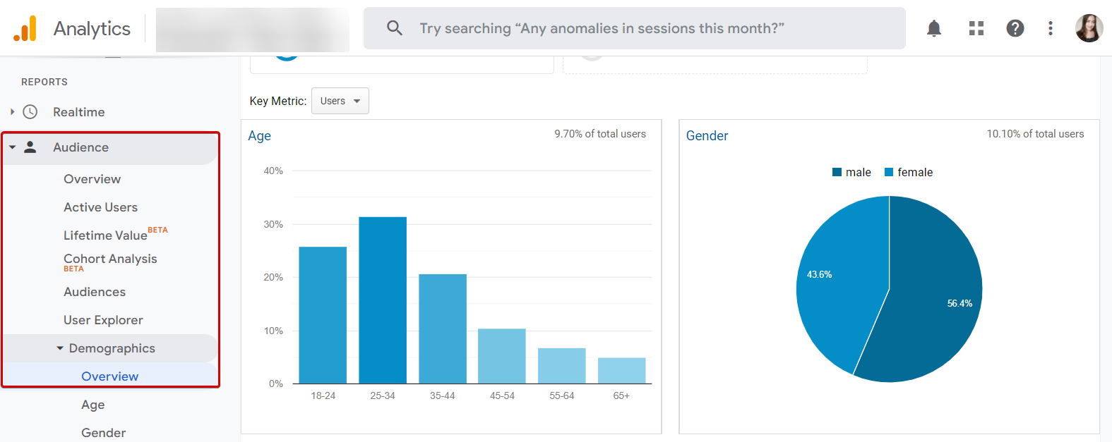 Google Analytics: Demographics by age and gender