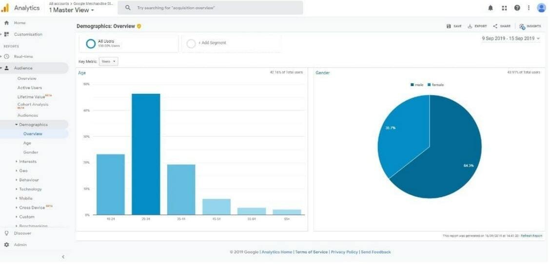 Google Analytics Demographics Overview