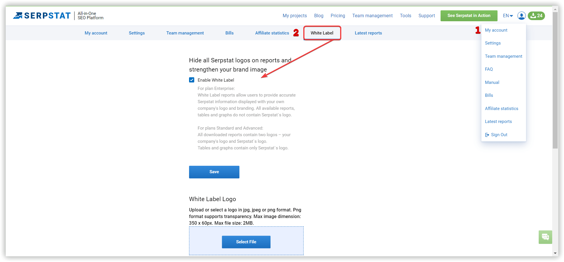 seo reports