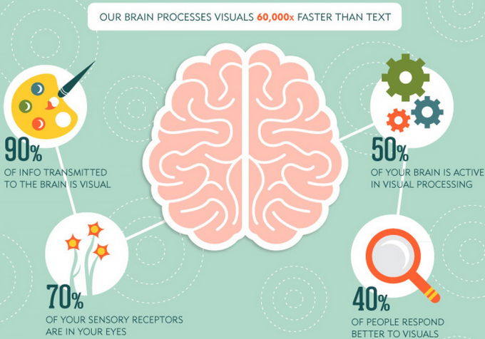 infographic of brain processes