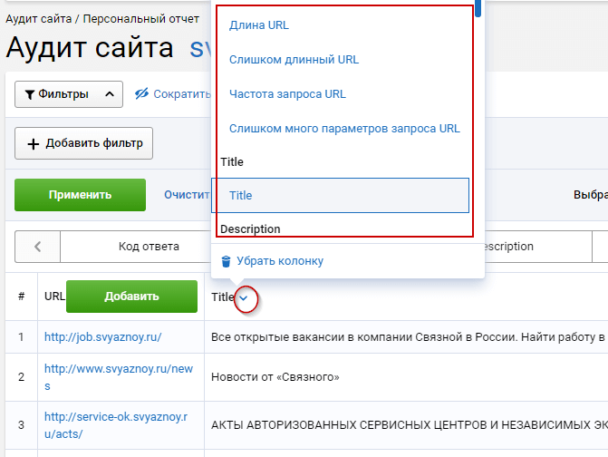 Дополнительные параметры персонализированного аудита