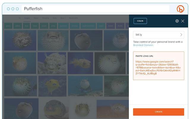 Chrome extension show bitly stats