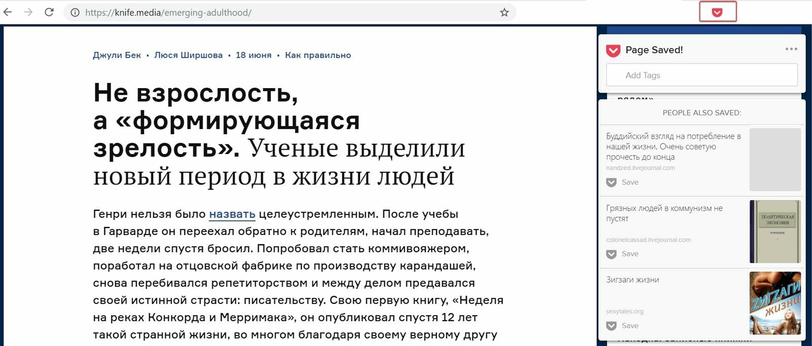 Плагин Pocket Chrome