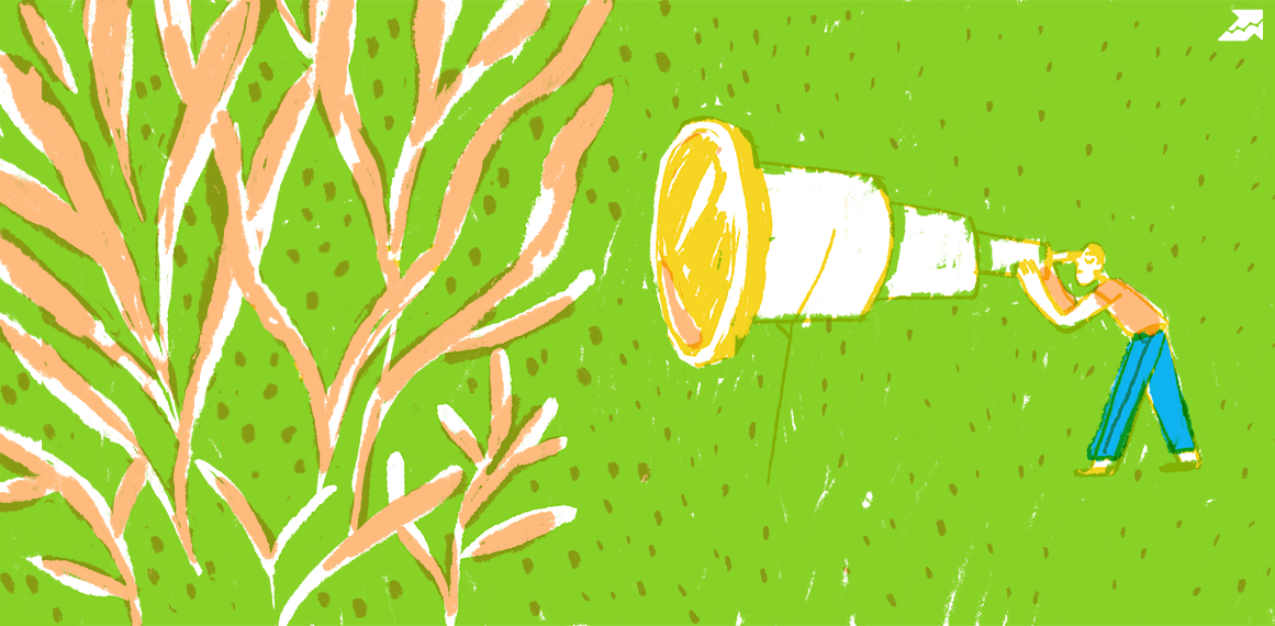 10 Essential Popup Campaigns For eCommerce