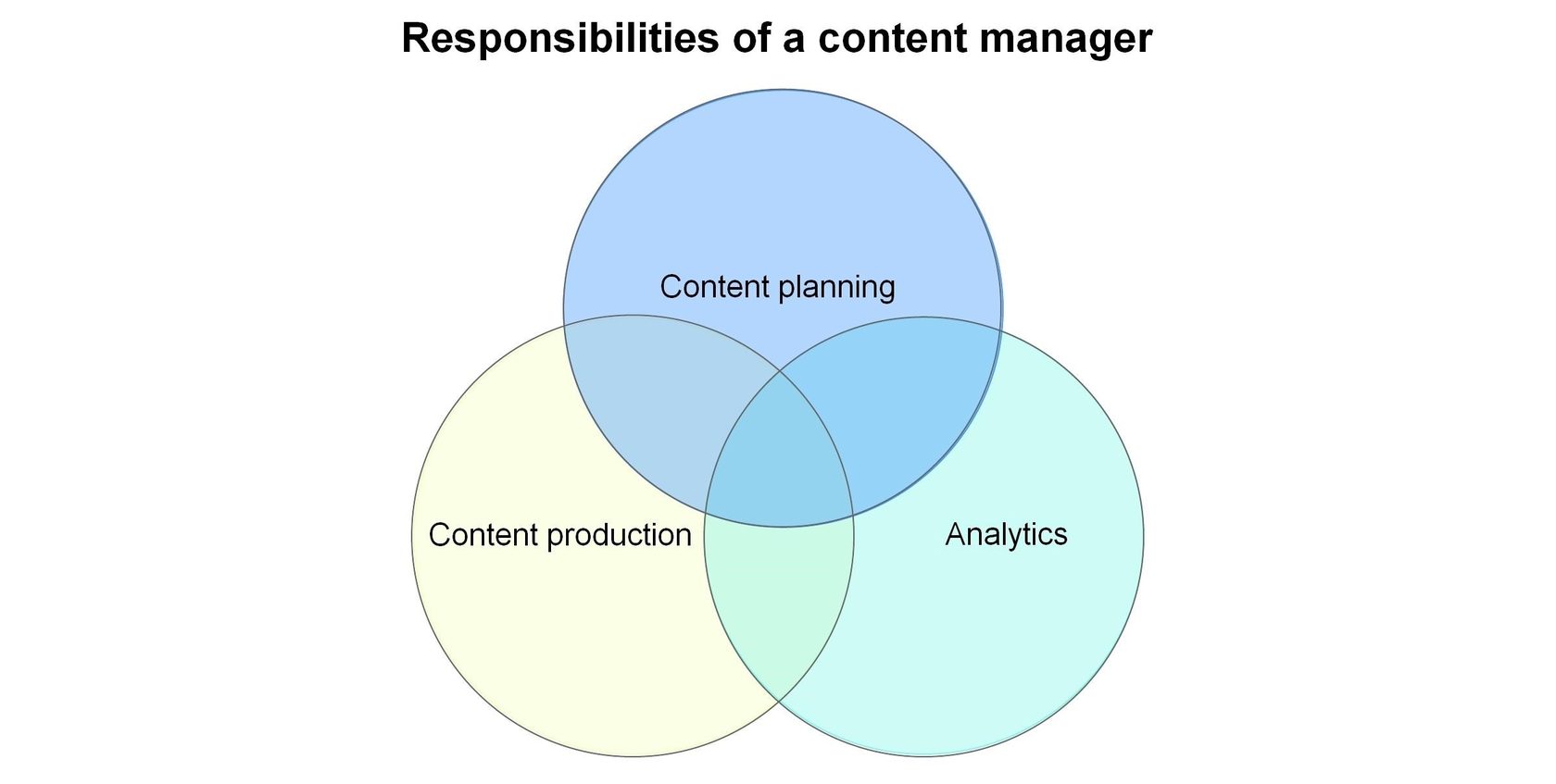 Content Manager Responsibility Areas